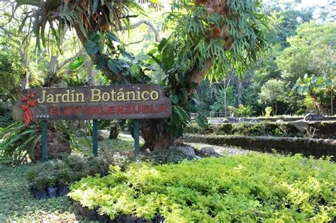 Il Giardino Botánico de Bucaramanga: Un Rifugio Verde nel Cuore della Cordillera