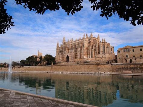 La Catedral di Maiorca: Una Splendida Fuga dal Tempo e una Sinfonia di Pietra!